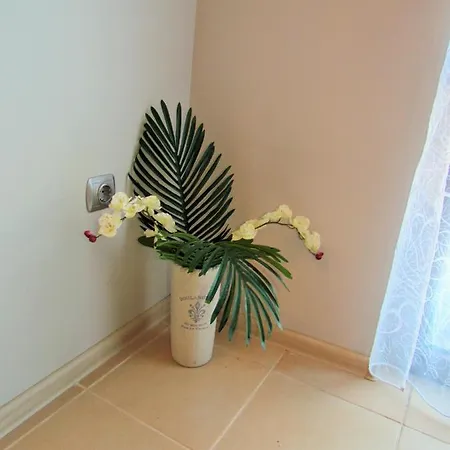 Appartement за гости Dolce *