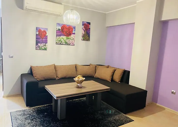 за гости Dolce